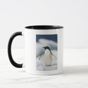 Caneca Pinguim de Adelie, fim-acima