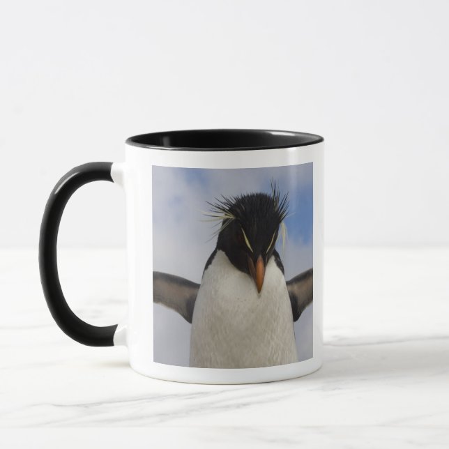 Caneca Pinguim-de-crista Eudyptes chrysocome (Esquerda)