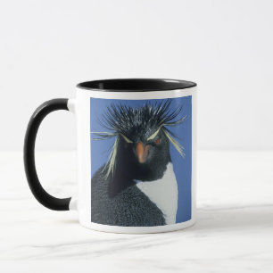 Caneca Pinguim-de-crista (Eudyptes chrysocome)