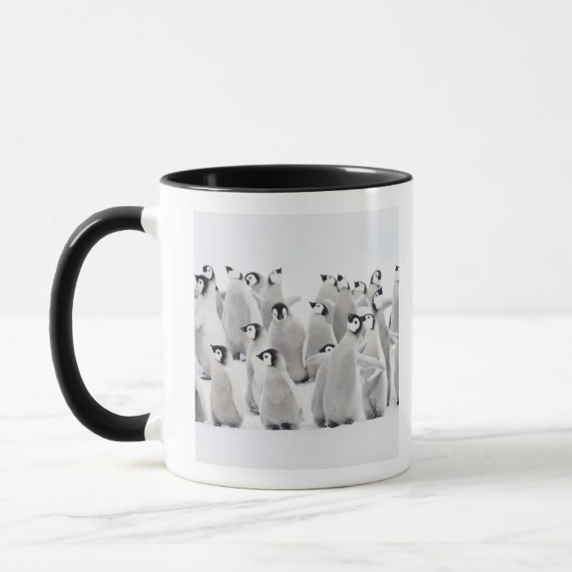 Caneca Pinguim de imperador (forsteri) do Aptenodytes, (Esquerda)