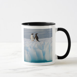 Caneca pingüim-gentoo, Pygoscelis Papua, no gelo glacial