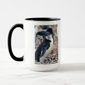 Caneca Pinguim-Pássaro Cinto-Negro Água Branca