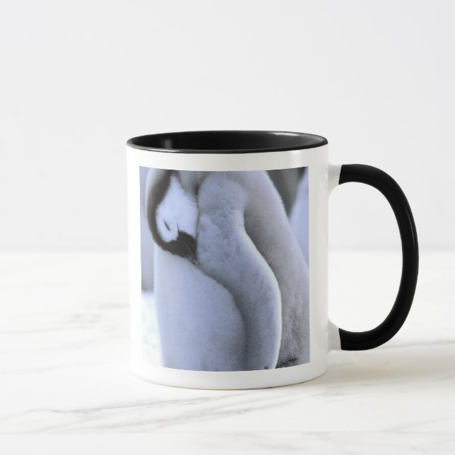 Caneca Pinguim | Península Antártica, Mar de Weddell (Direita)