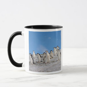 Caneca Pinguins-de-barbicha Pygoscelis Antarctica