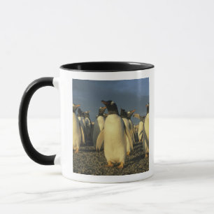 Caneca Pinguins-de-gentoo, (Pygoscelis papua), Ilhas Malv