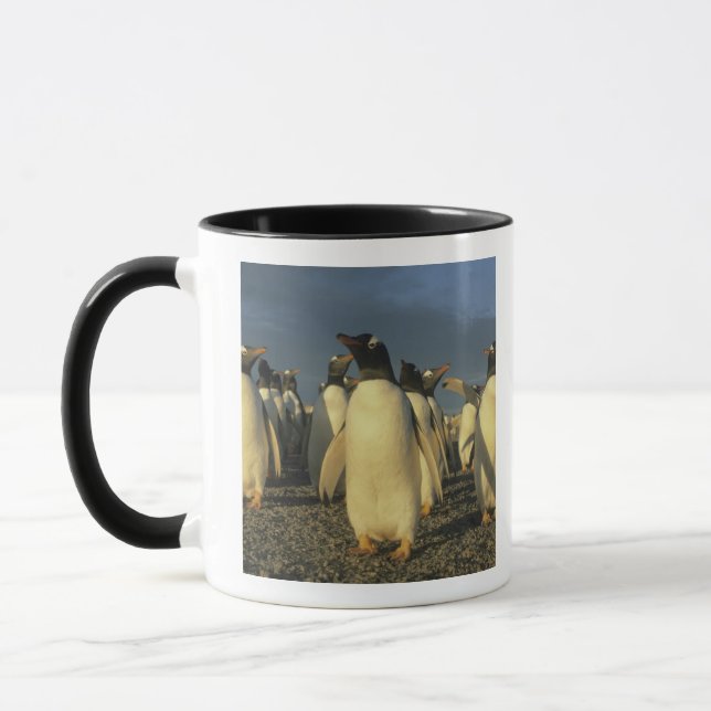 Caneca Pinguins-de-gentoo, (Pygoscelis papua), Ilhas Malv (Esquerda)
