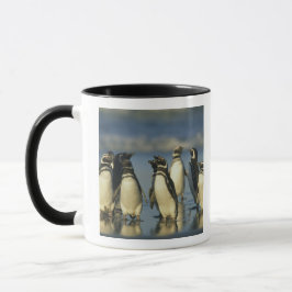 Caneca Pinguins-de-magalhães, Spheniscus