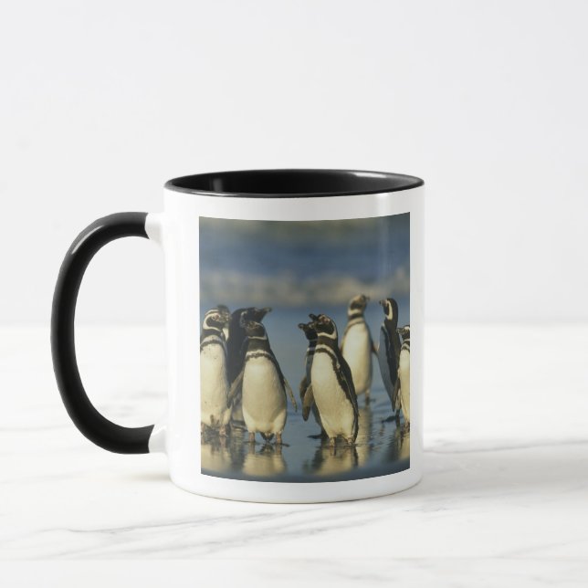 Caneca Pinguins-de-magalhães, Spheniscus (Esquerda)