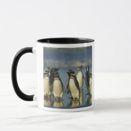 Caneca Pinguins Magalhães, Esfenísco