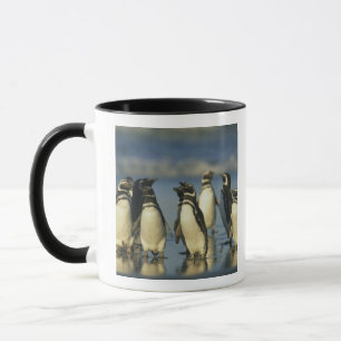 Caneca Pinguins Magalhães, Esfenísco