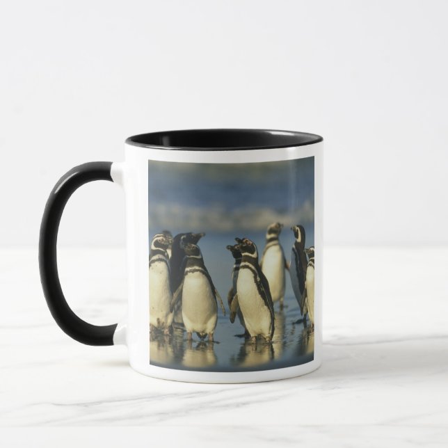 Caneca Pinguins Magalhães, Esfenísco (Esquerda)