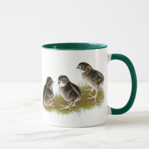 Caneca Pintinhos das codorniz do Coturnix