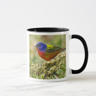 Caneca Pintor-Colorido