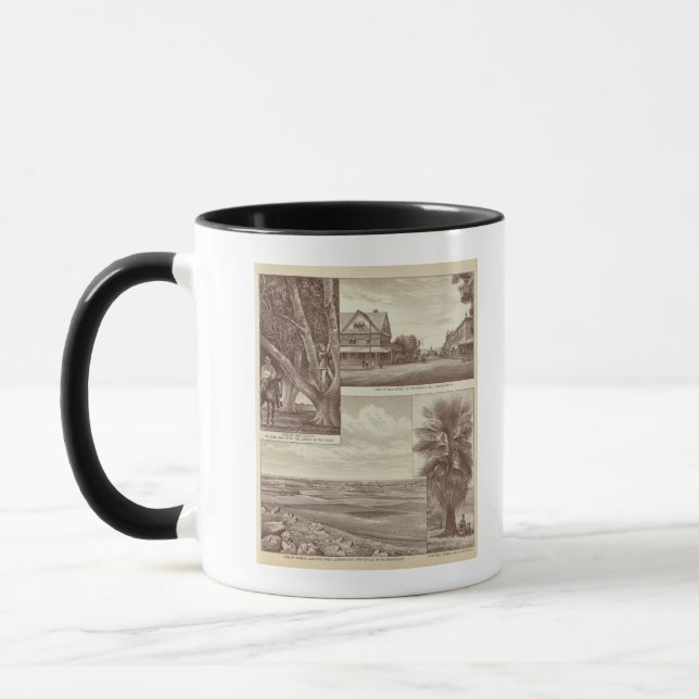 Caneca Pioneer Land Co tract, Porterville (Esquerda)