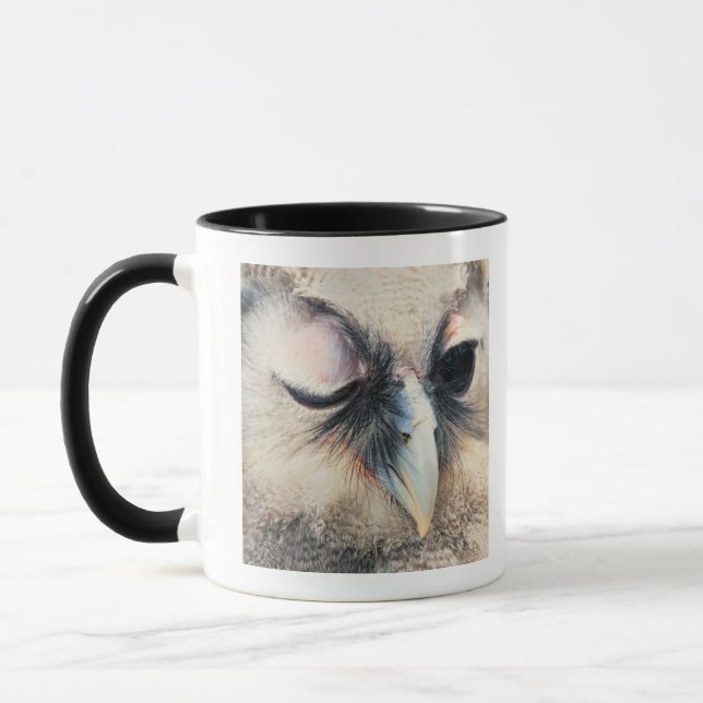 Caneca Pisc a coruja (Esquerda)