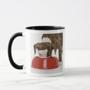 Caneca Pitbull do filhote de cachorro que come fora do