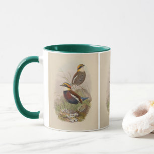 Caneca Pitta de Van der Bosch por John Gould