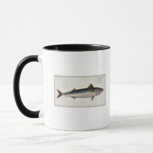 Caneca Placa LIV da cavala (Scomber do Scomber) 'de