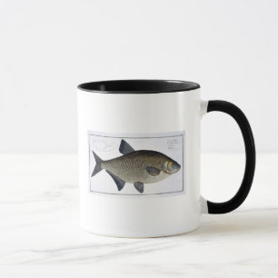 Caneca Placa XIII da brema (Brama do Cyprinus) 'de