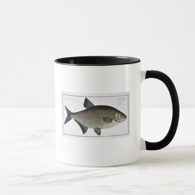 Caneca Placa XIII da brema (Brama do Cyprinus) 'de (Direita)