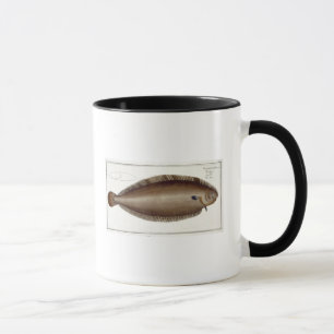 Caneca Placa XLV do linguado (Solea Solaea) 'de Ichthyol