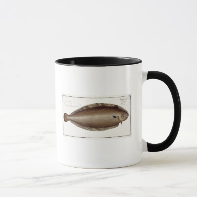 Caneca Placa XLV do linguado (Solea Solaea) 'de Ichthyol (Direita)