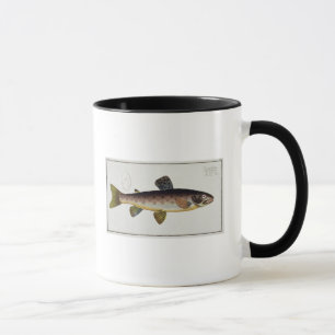 Caneca Placa XXIII da truta de Brown (Salmo Iasustris)