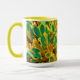 Caneca Plantas De Cactus No Deserto De África, Em Pera Rá