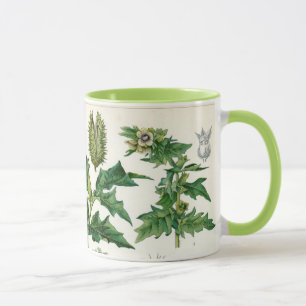 Caneca Plantas venenosas