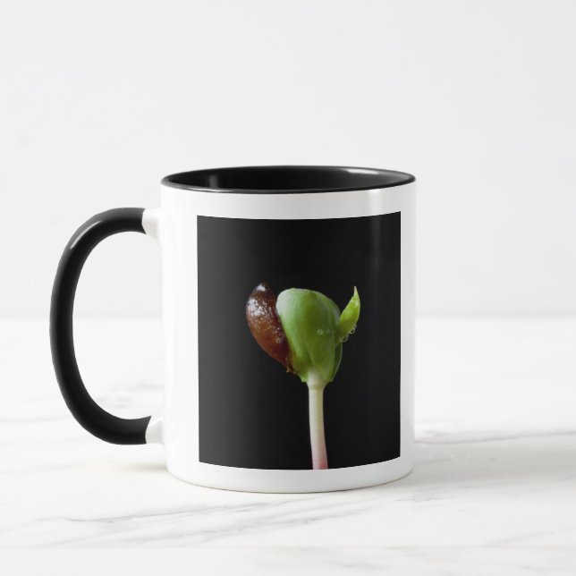 Caneca Plântulas de Apple com escudo da semente (Esquerda)