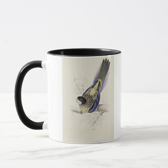Caneca Platycercus Brownii, ou Parrakeet de Brown (placa (Esquerda)