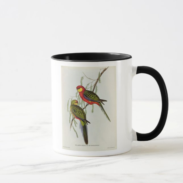 Caneca Platycercus Icterotis (Direita)