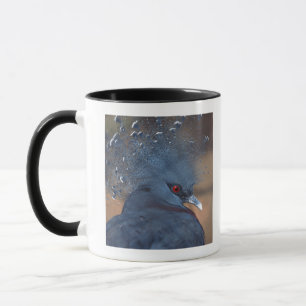 Caneca pombo coroado