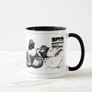 Caneca Pombos de Trompeter Ingleses