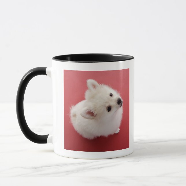 Caneca Pomeranian no tapete vermelho (Esquerda)