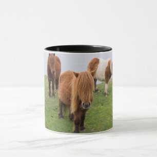 Caneca Pônei Shetland em Pastagem Perto de Falésias Altas