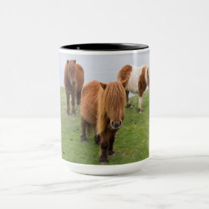 Caneca Pôneo Shetland na Pastura perto de saltos altos