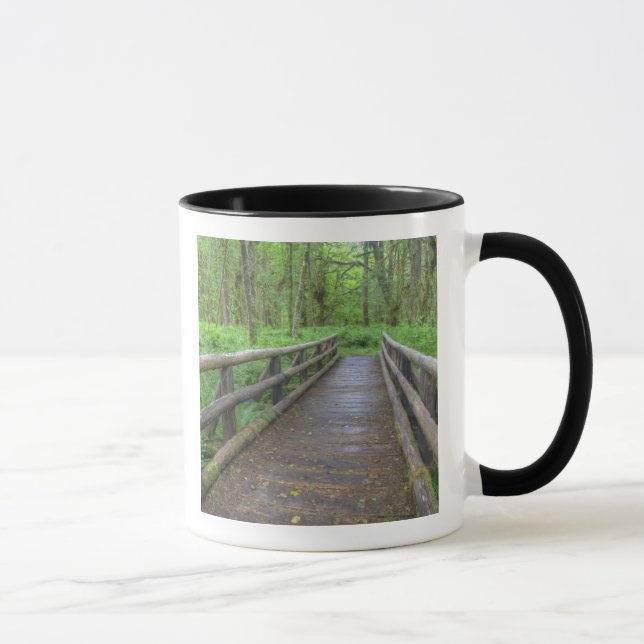 Caneca ponte de madeira Maple Glade trail, samambaias e (Direita)