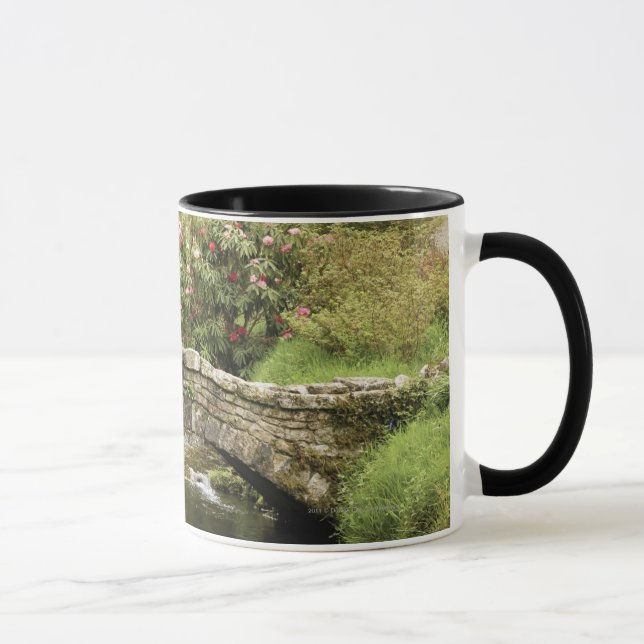 Caneca Ponte de pedra velha através de um córrego no (Direita)