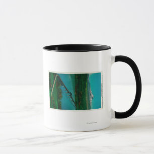 Caneca Ponte Interestadual e Mt. Hood no Salmão Branco