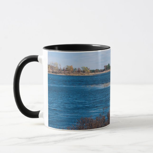 Caneca ponto do pântano no refúgio necedah (Esquerda)