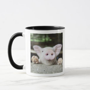 Caneca Porco do bebê na caneta, leitão
