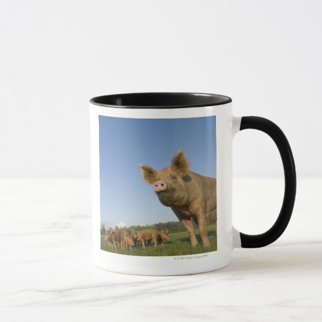 Caneca Porco em um campo (Direita)