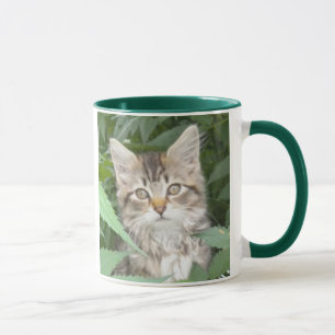 Caneca Posso Tomar Café? PURR-TY, por favor!