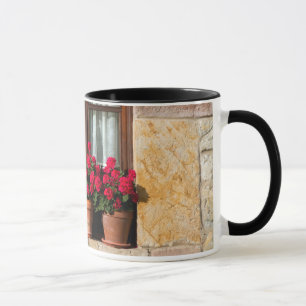Caneca potes de flores de janela na aldeia