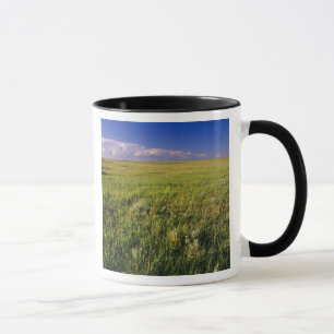 Caneca Pradaria de grama curta no remoto nordeste
