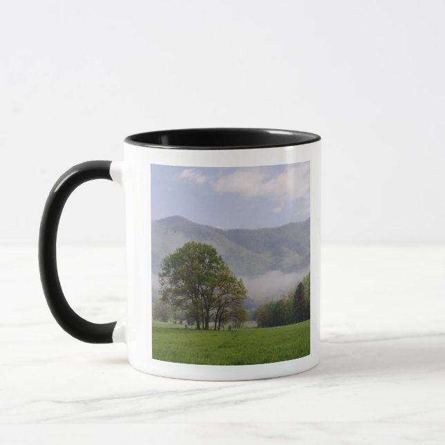 Caneca Prado enevoado e Rich Mountain, Cades Cove, (Esquerda)