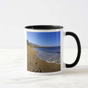 Caneca Praia de Kaanapali, Maui, Havaí, EUA