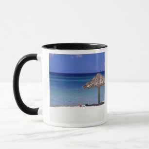 Caneca Praia de Malmok, Aruba, Antilhas Holandesas