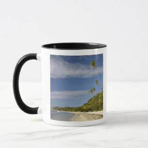 Caneca Praia e palmeiras, estância de Plantation Island